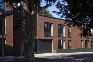 mountearlgardens06