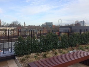 View to Big Ben