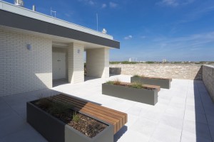 Rosina Street-11