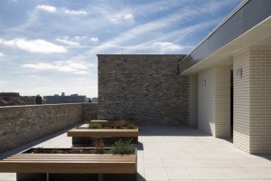 Rosina Street-17